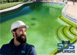 Disincrostazione e Pulizia Piscine Latina