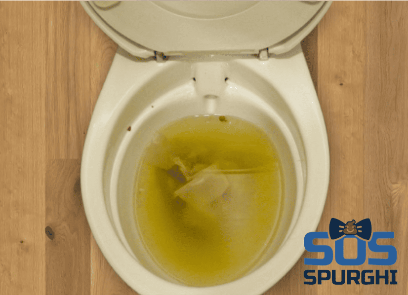 Disotturazione WC