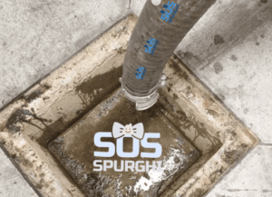 Spurgo Latina