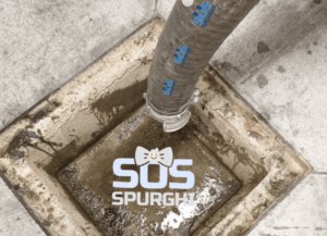 Spurgo Latina